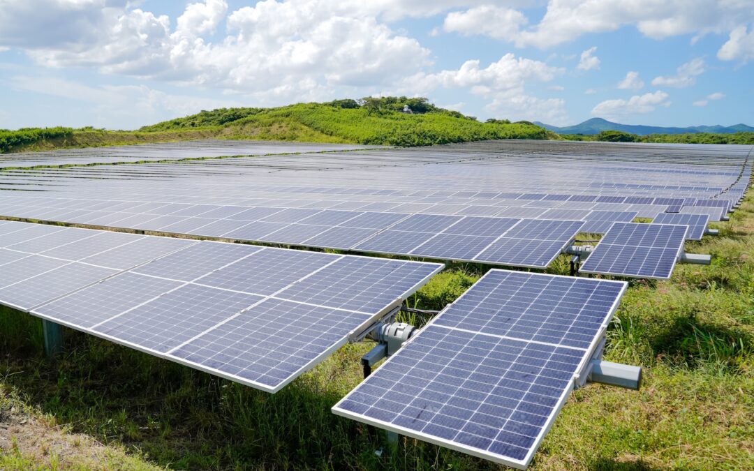 Understanding Community Solar Projects and their Potential Benefits for Businesses in Scotland